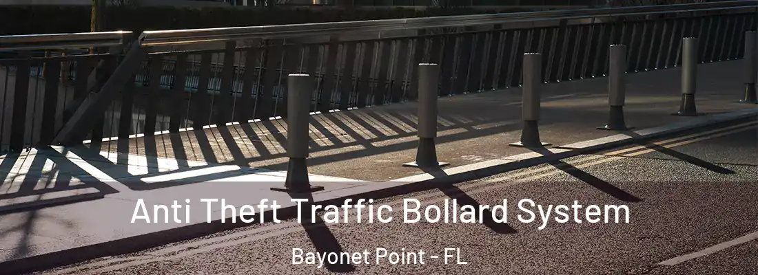  Anti Theft Traffic Bollard System Bayonet Point - FL