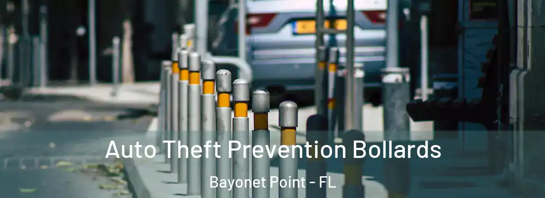 Auto Theft Prevention Bollards Bayonet Point - FL