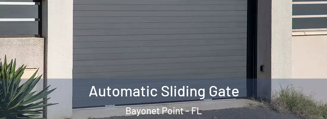  Automatic Sliding Gate Bayonet Point - FL