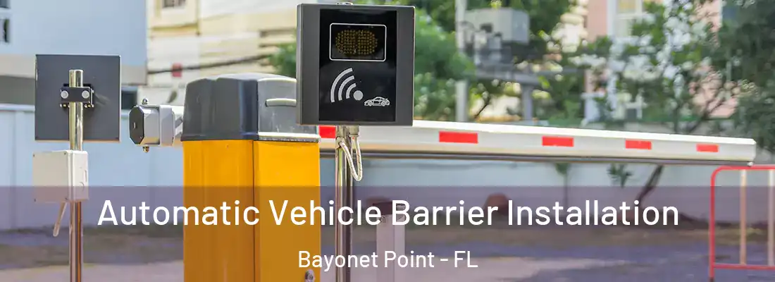  Automatic Vehicle Barrier Installation Bayonet Point - FL
