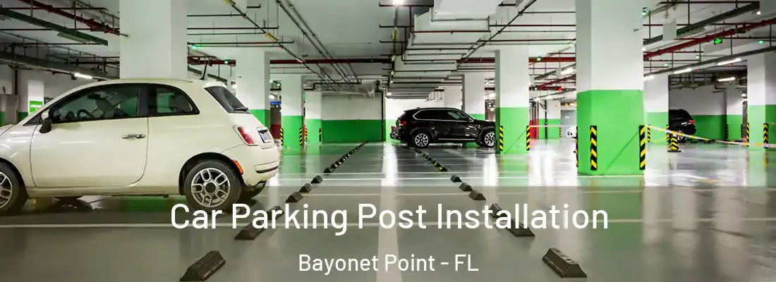  Car Parking Post Installation Bayonet Point - FL