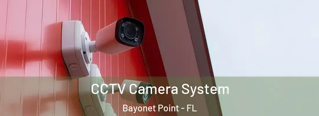  CCTV Camera System Bayonet Point - FL