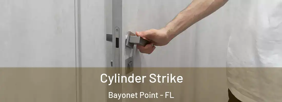  Cylinder Strike Bayonet Point - FL