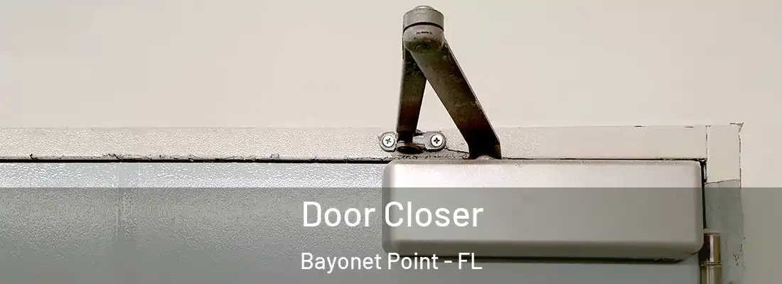 Door Closer Bayonet Point - FL