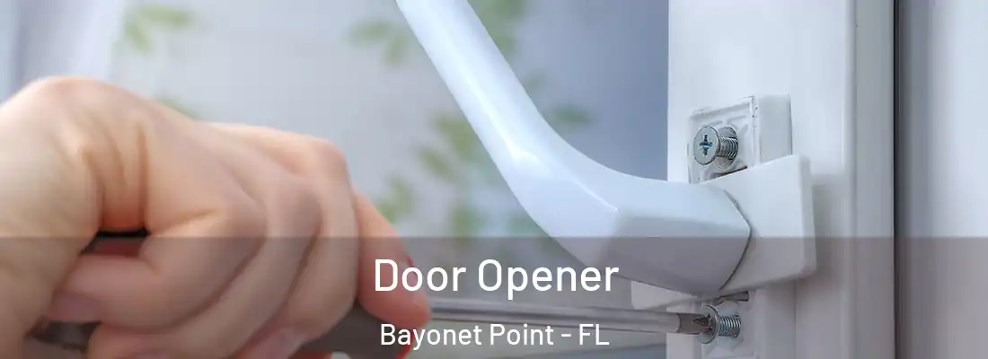  Door Opener Bayonet Point - FL
