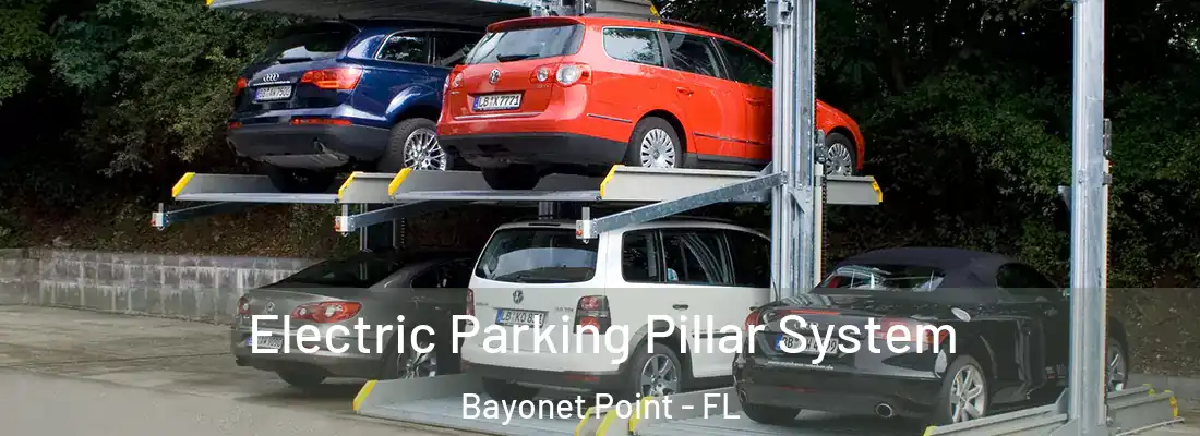  Electric Parking Pillar System Bayonet Point - FL