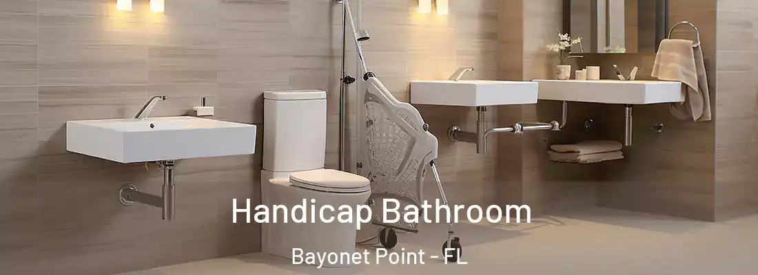  Handicap Bathroom Bayonet Point - FL