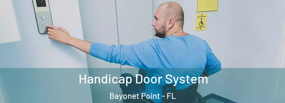  Handicap Door System Bayonet Point - FL