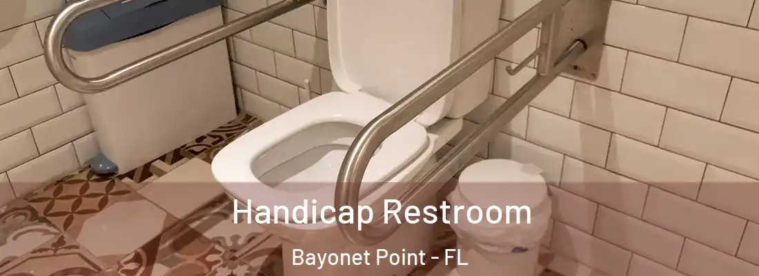  Handicap Restroom Bayonet Point - FL