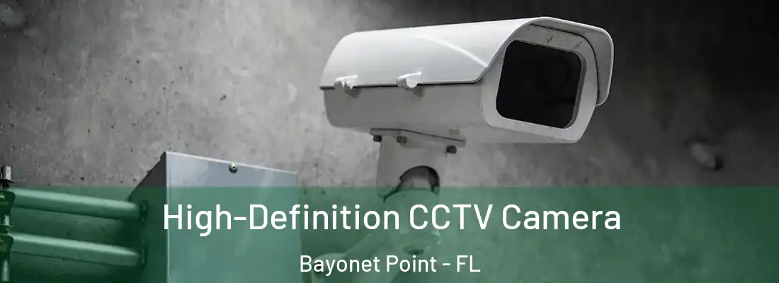  High-Definition CCTV Camera Bayonet Point - FL
