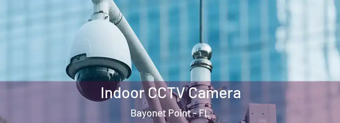  Indoor CCTV Camera Bayonet Point - FL