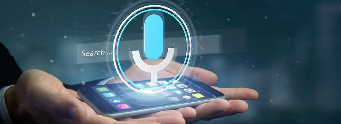 Enhance Security with Voice Recognition Access Systems in Bayonet Point, FL