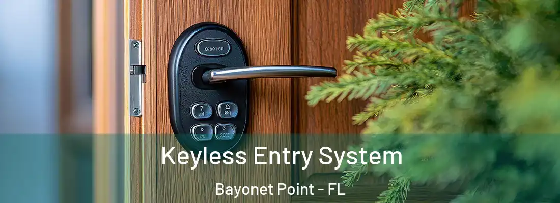  Keyless Entry System Bayonet Point - FL