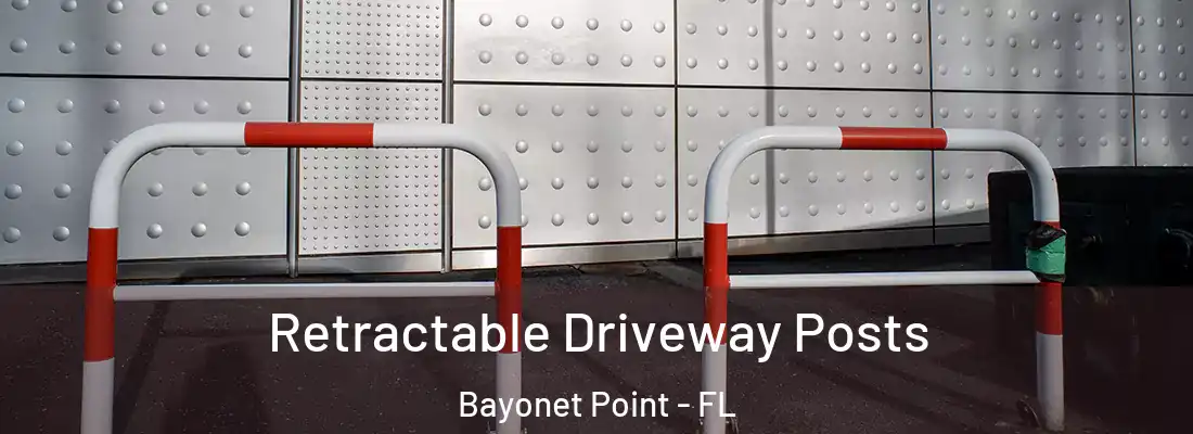  Retractable Driveway Posts Bayonet Point - FL