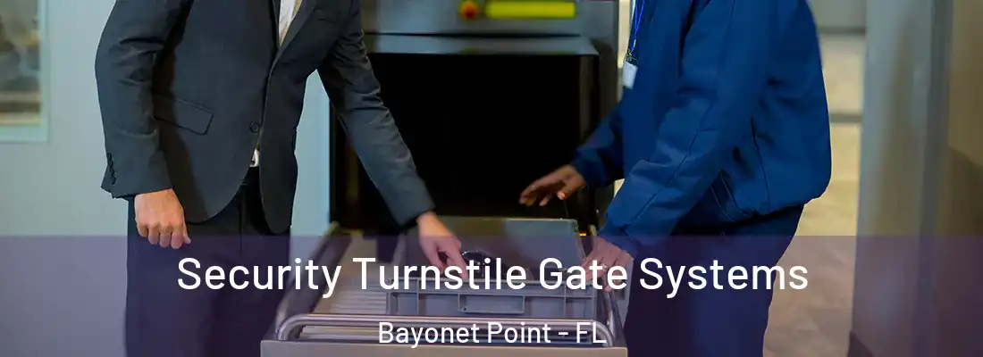  Security Turnstile Gate Systems Bayonet Point - FL